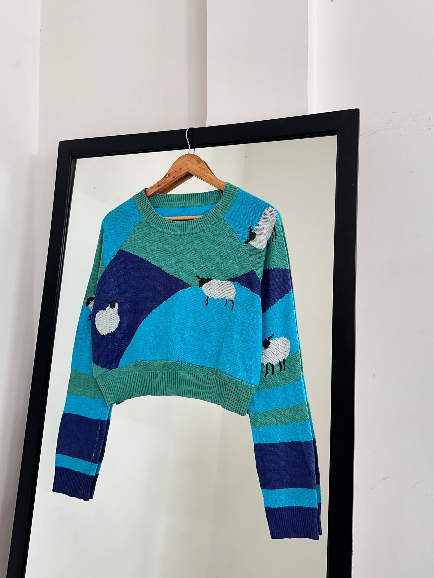 Blue Sheep